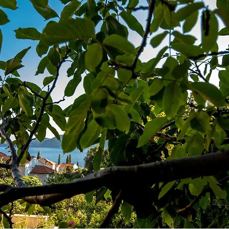 度假居 La Dorada *