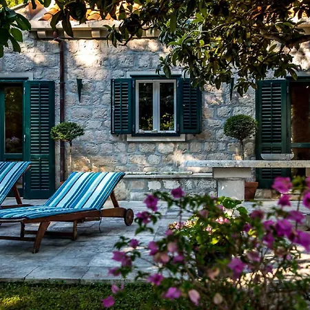 La Dorada * 特斯特诺